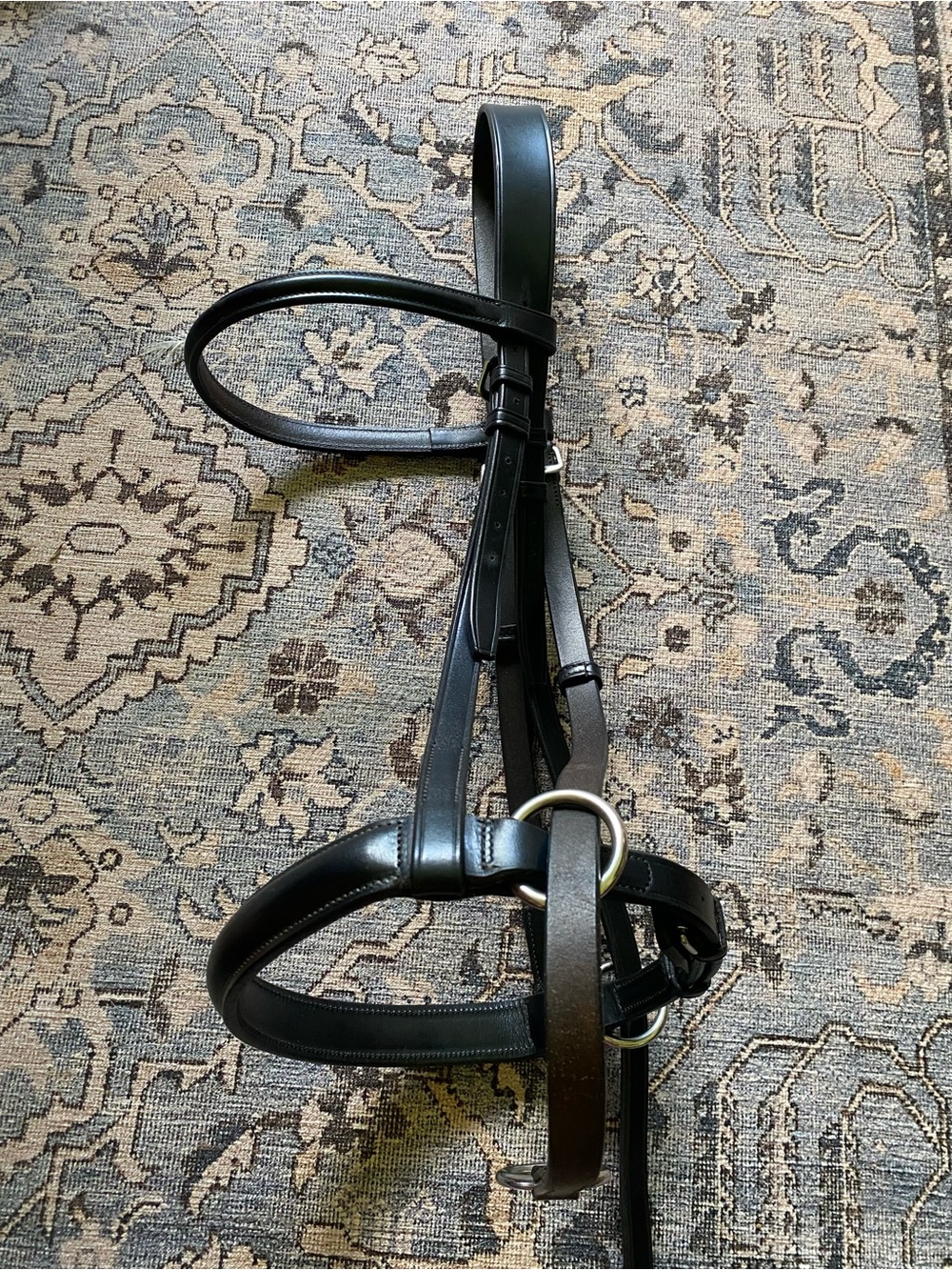 Dr cook Biteless Black Leather Bridle Headstall - Classic Equestrian Style